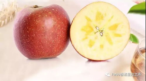 云南 十大名品 這些上榜了 還有綠色食品10強(qiáng) 20佳創(chuàng)新企業(yè)