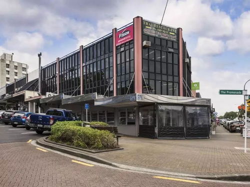 博宇佳業 塔卡普納CBD黃金商用物業，坐擁核心地段，投資開發雙重價值